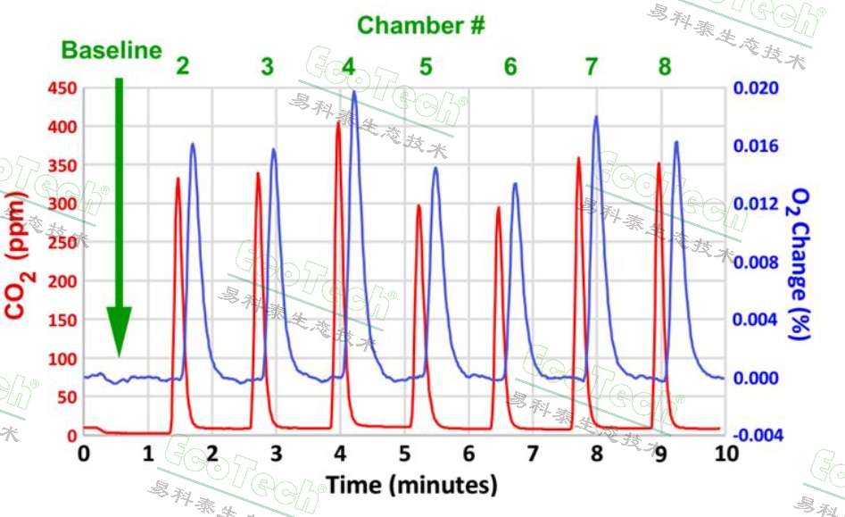 多通道昆蟲呼吸代謝測(cè)量系統(tǒng)