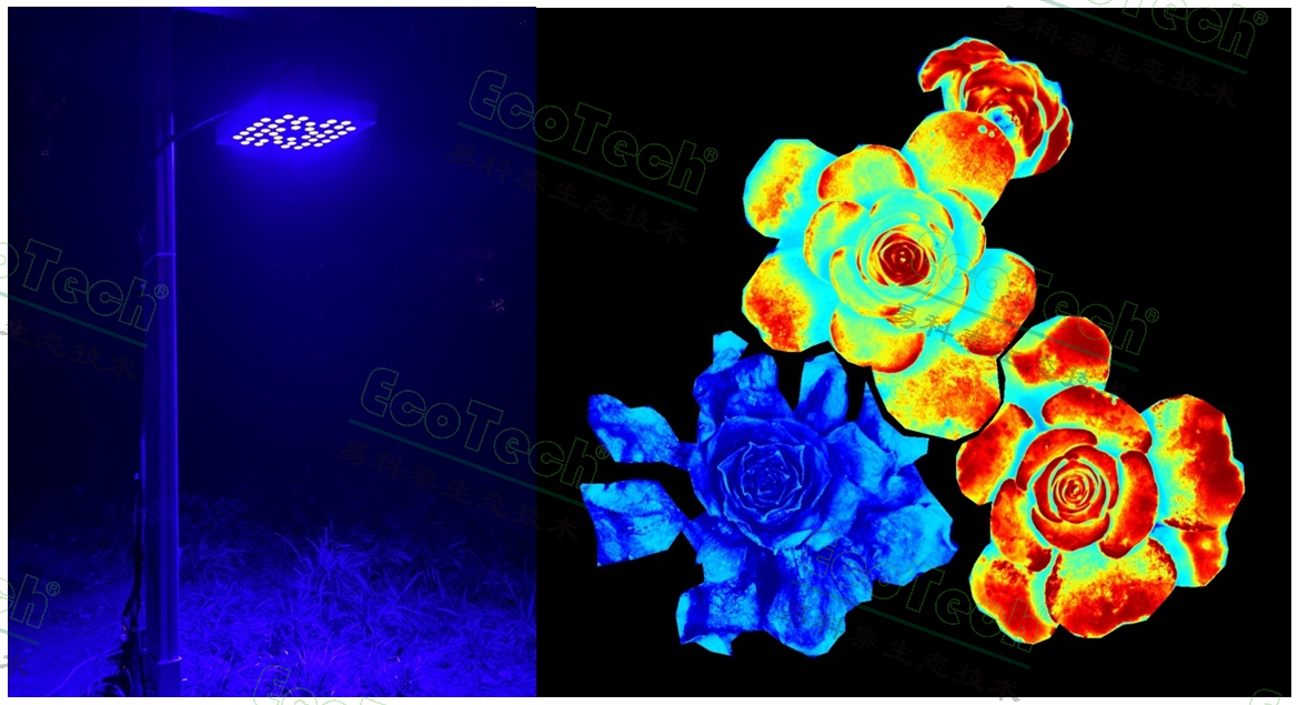 易科泰提供光合作用測(cè)量全面解決方案