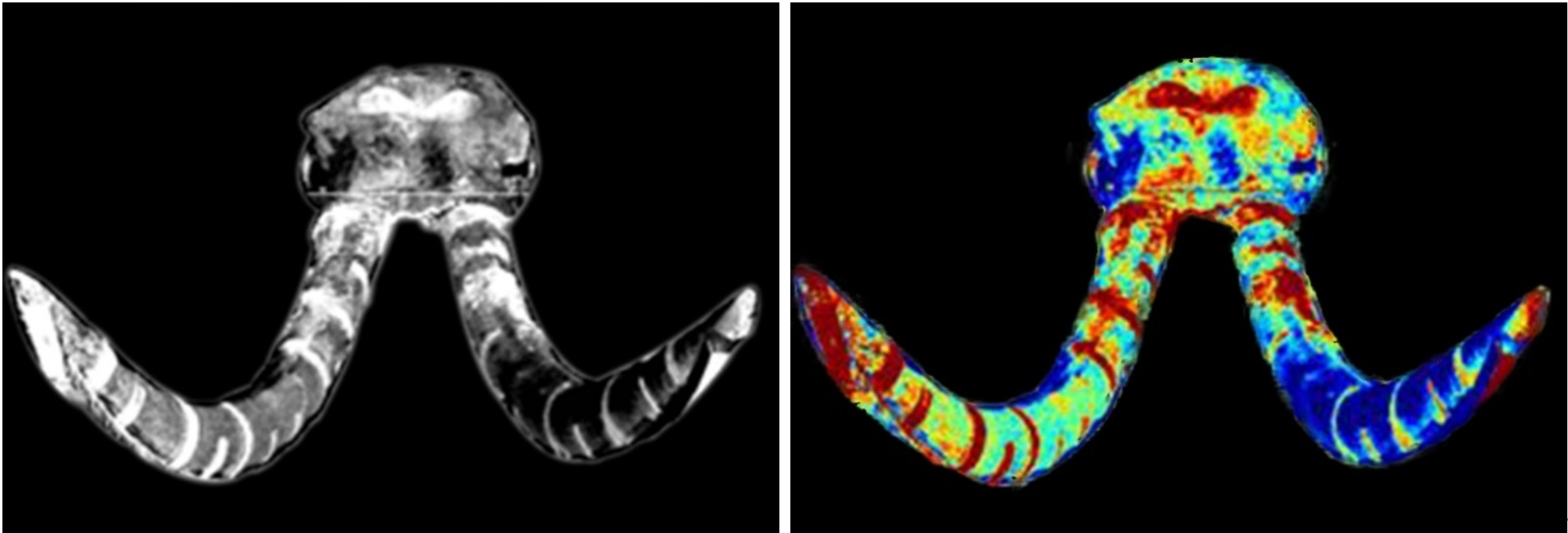 微信截圖_20231009141000.png 微信截圖_20231009141000.png