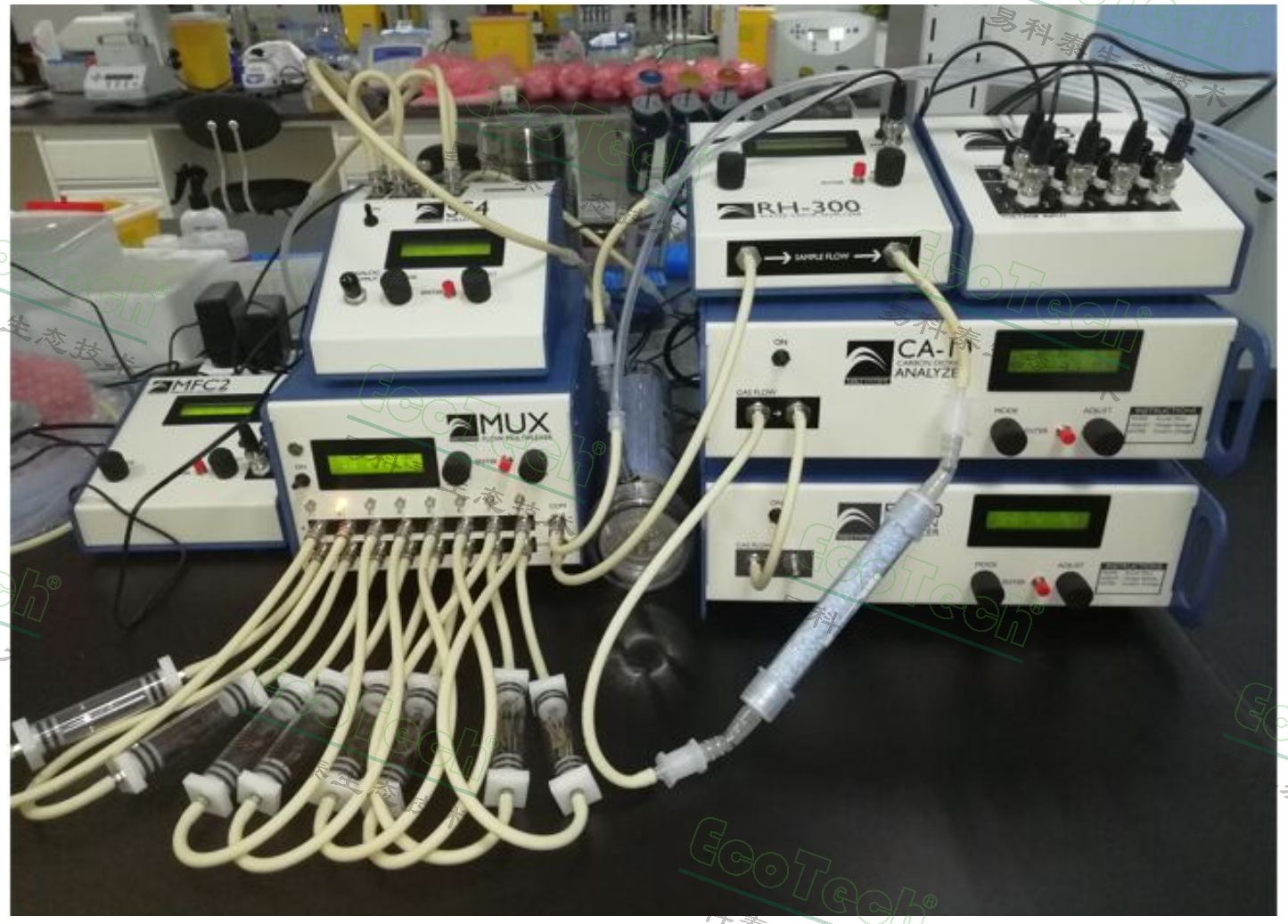 insect.jpg insect.jpg