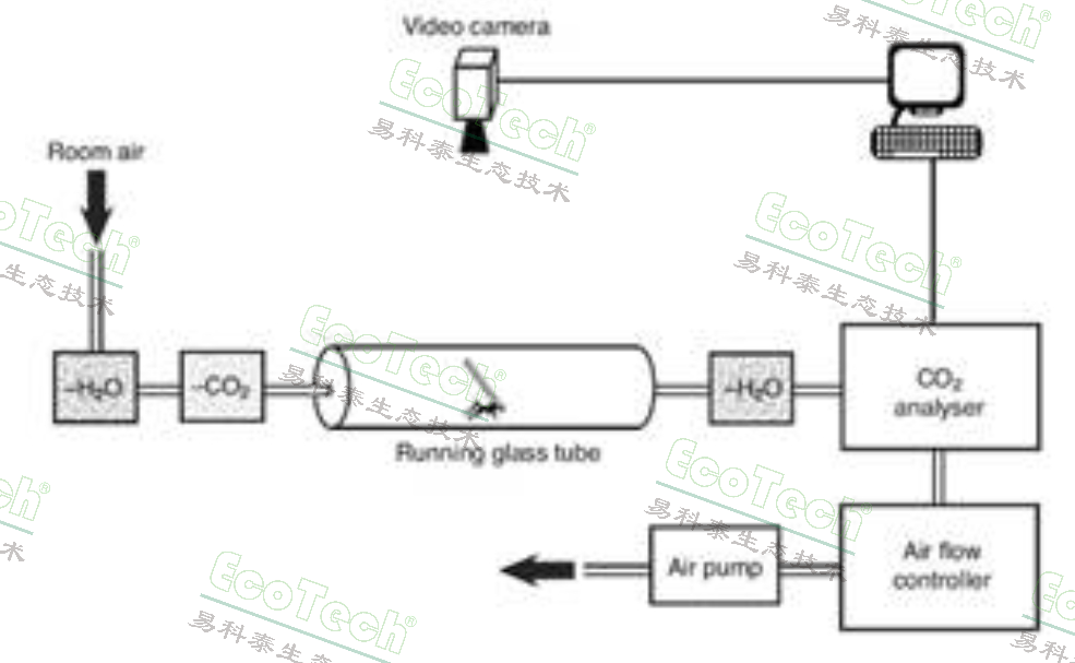 clip_image006.jpg Macintosh HD:Users:cqyu:Desktop:Ecotech-Suppliers:北美:Sablesys.com:Reference:昆蟲等無脊椎動物:Ants:ant respirometry.jpg