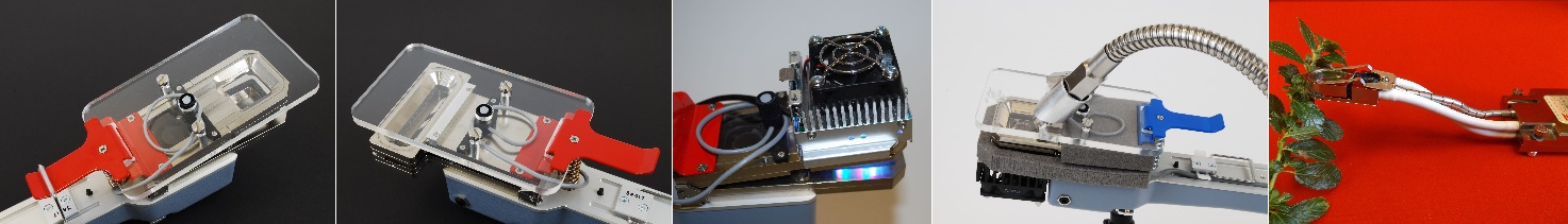 clip_image005.jpg clip_image005.jpg