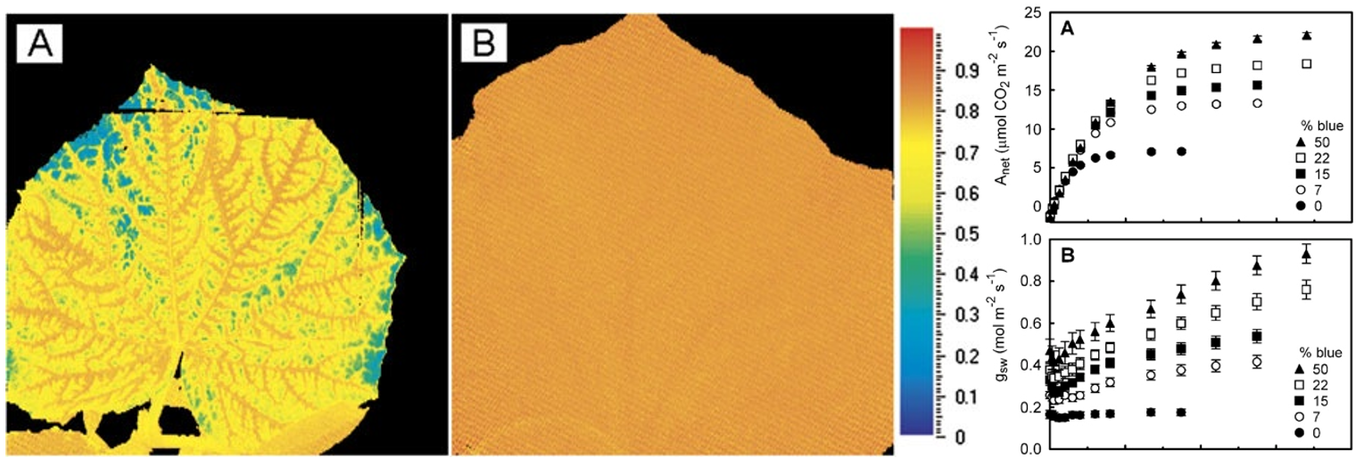 微信截圖_20220429144606.png 微信截圖_20220429144606.png