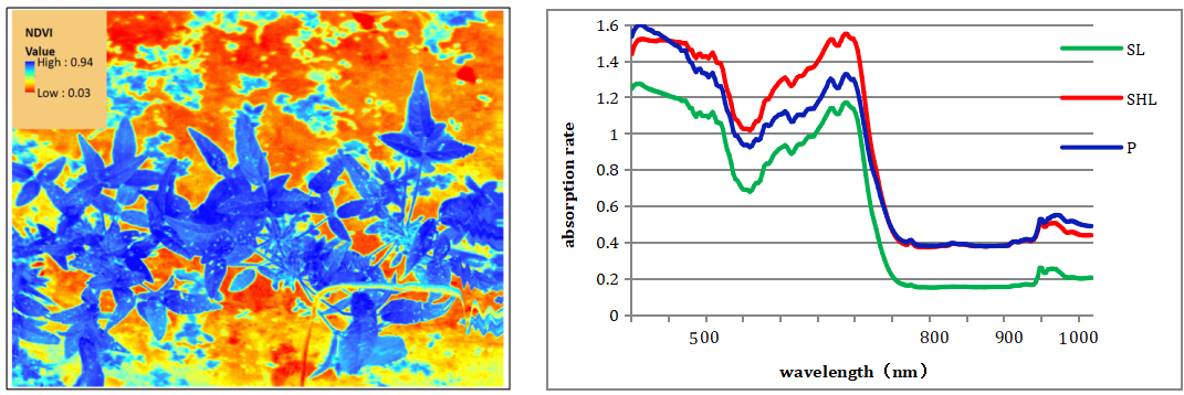 微信截圖_20210804170134.png 微信截圖_20210804170134.png