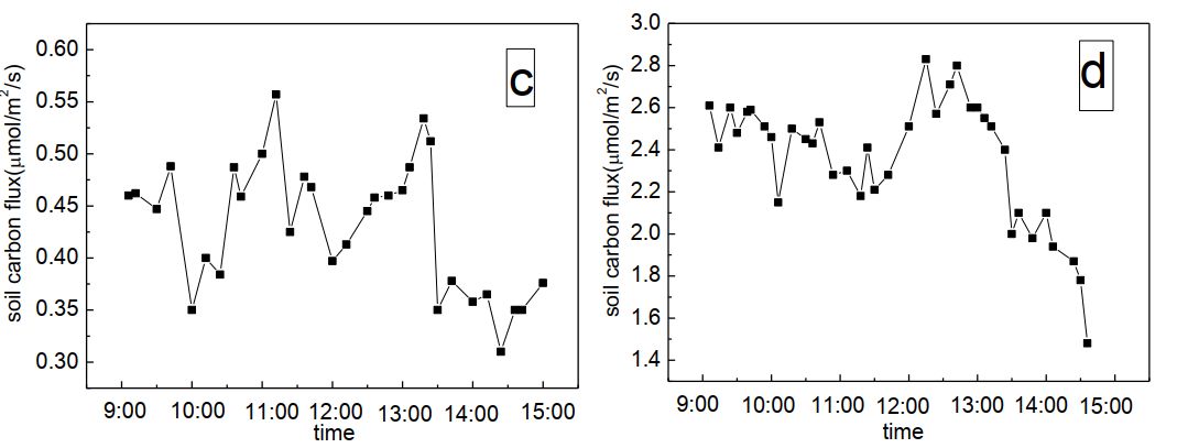 clip_image005.jpg clip_image005.jpg