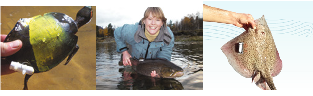 微信截圖_20220704152903.png 微信截圖_20220704152903.png