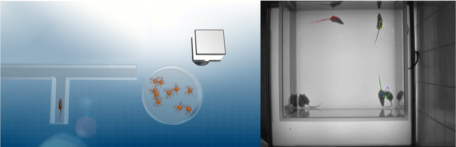 微信截圖_20220301142506.png 微信截圖_20220301142506.png