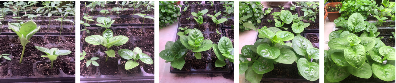 微信截圖_20221230105142.png 微信截圖_20221230105142.png