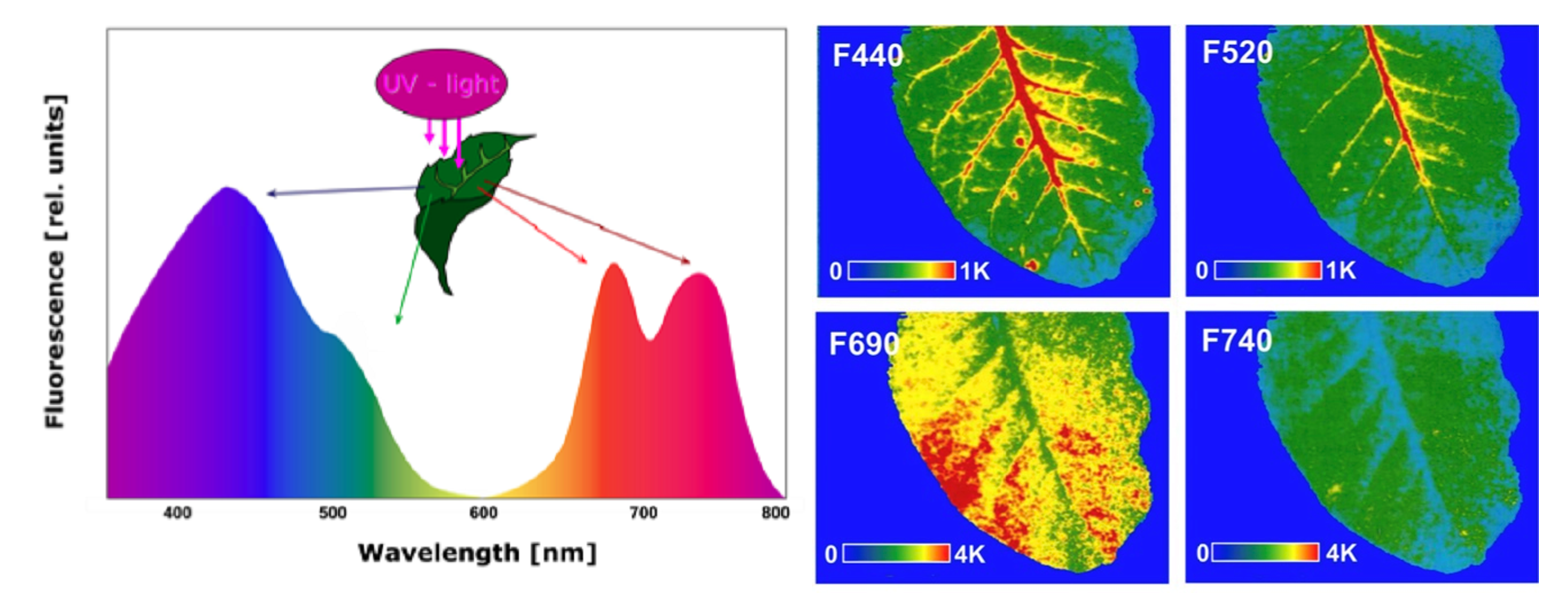 微信截圖_20220507152646.png 微信截圖_20220507152646.png